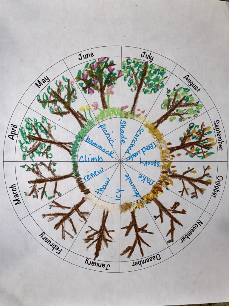 phenology-wheel-homeschoolinspirations